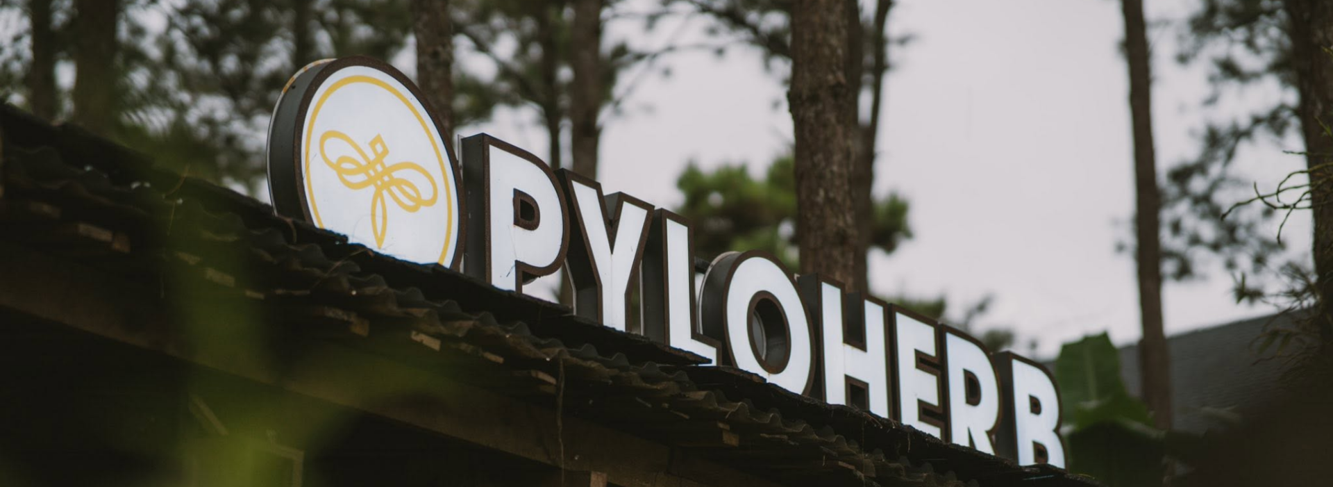 PyLoHerb: Tinh Túy Xứ Lạnh - Giá Trị Bền Lâu