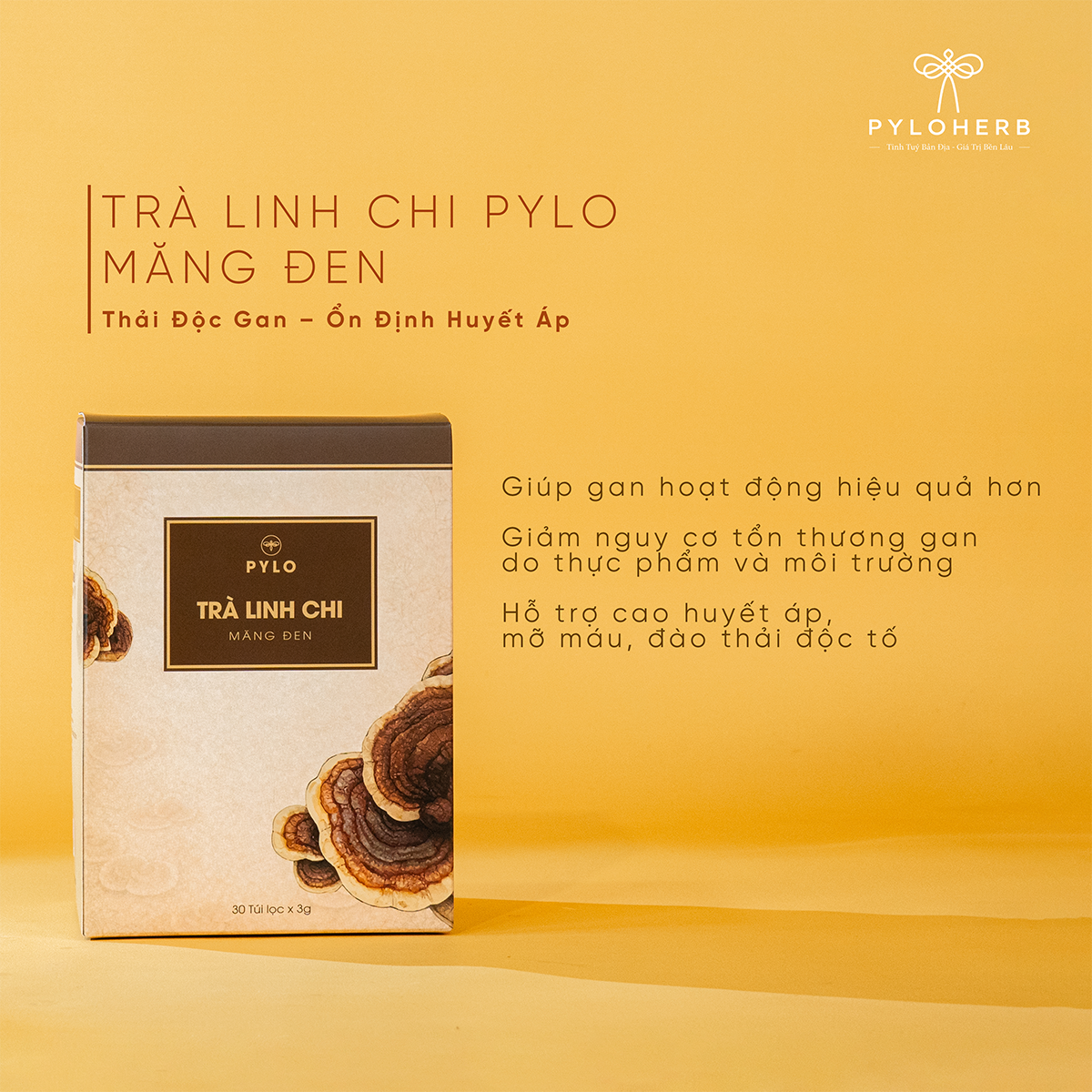 Combo Thượng Hạng Măng Đen