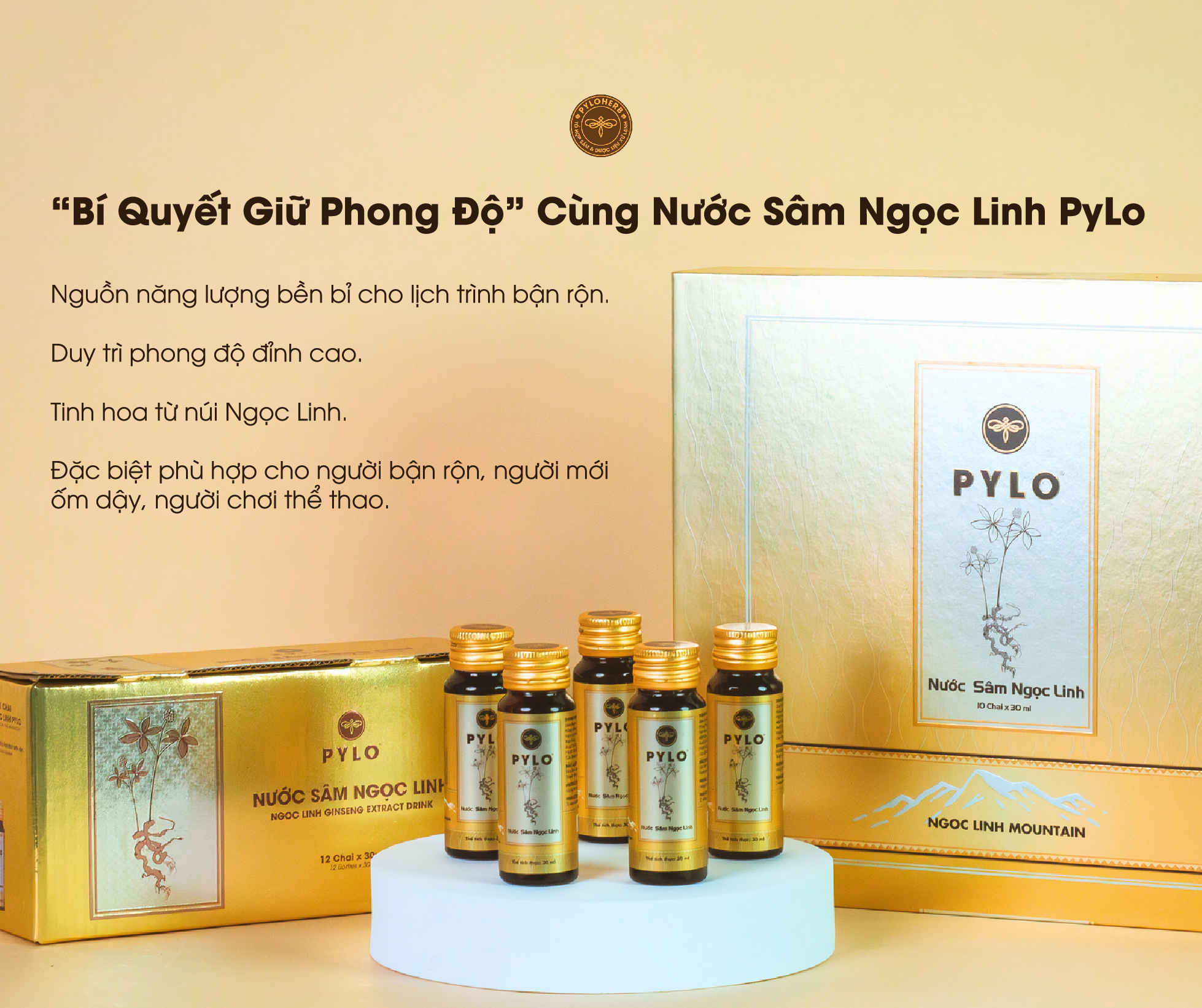 “Bí Quyết Giữ Phong Độ” Cùng Nước Sâm Ngọc Linh PyLo