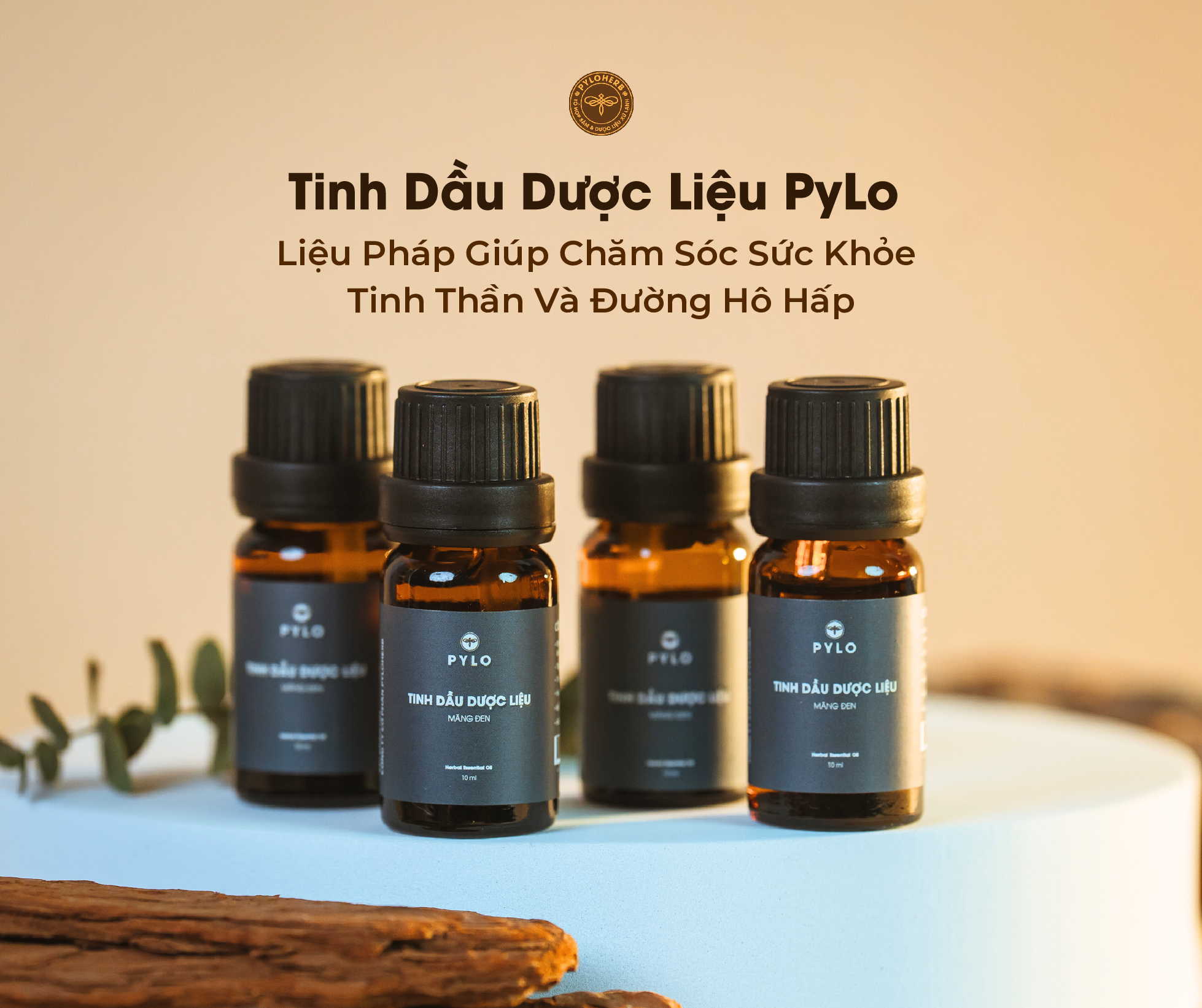 Tinh Dầu Dược Liệu PyLo – Liệu Pháp Giúp Chăm Sóc Sức Khỏe Đường Hô Hấp