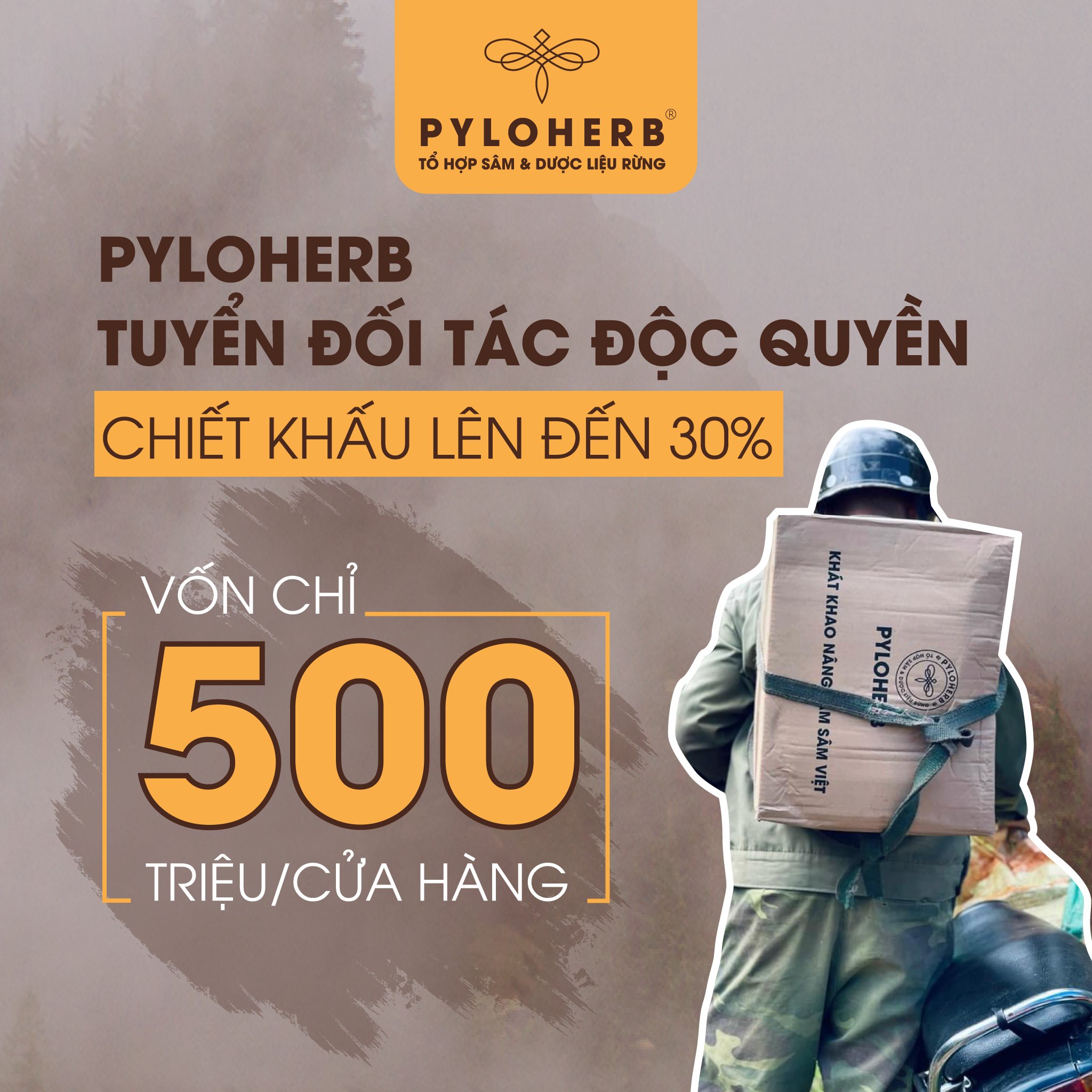 PyLoHerb Tuyển Đối Tác Độc Quyền Khu Vực Quận Và Thành Phố