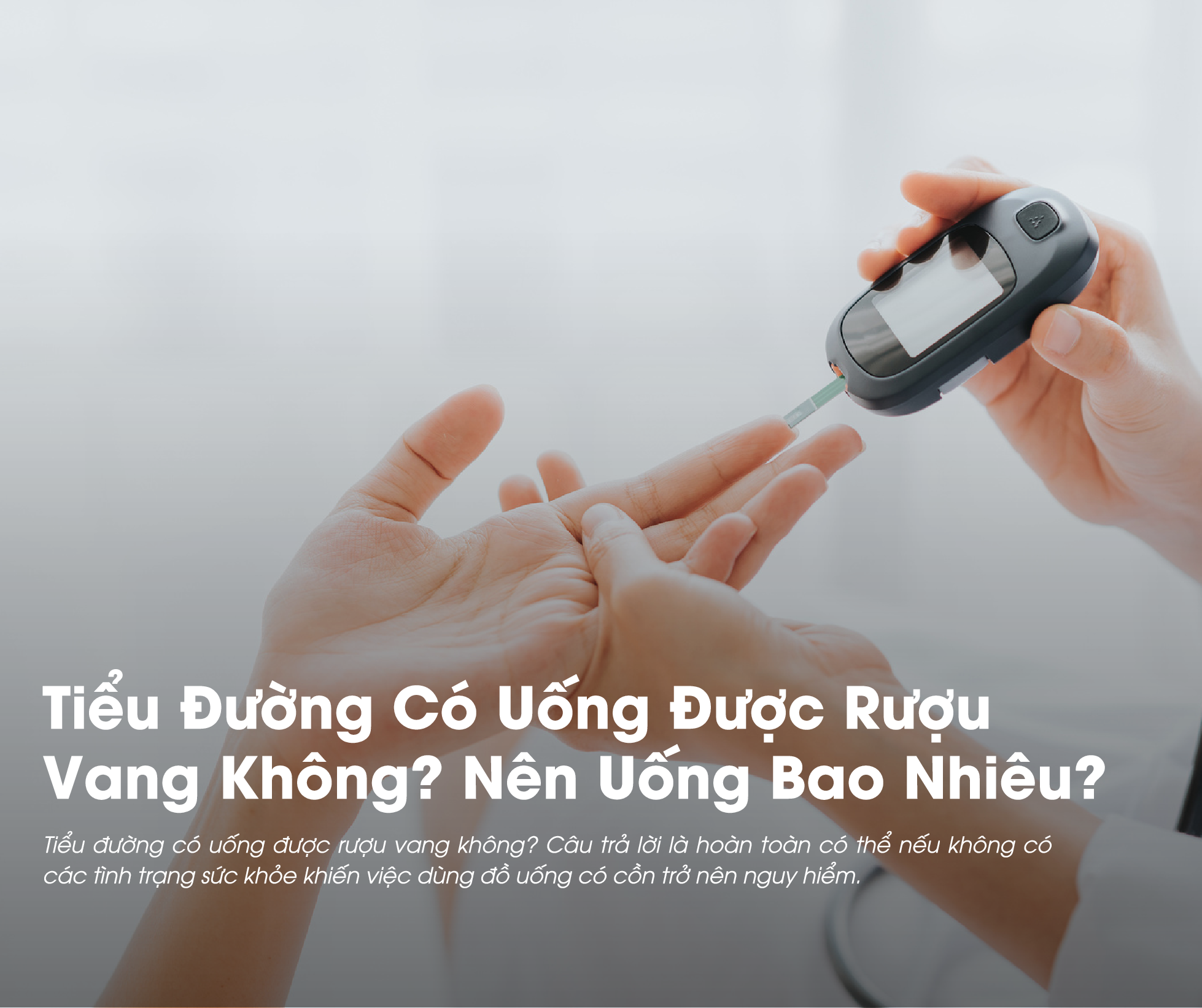 [Góc Tư Vấn] Tiểu Đường Có Uống Được Rượu Vang Không? Nên Uống Bao Nhiêu?