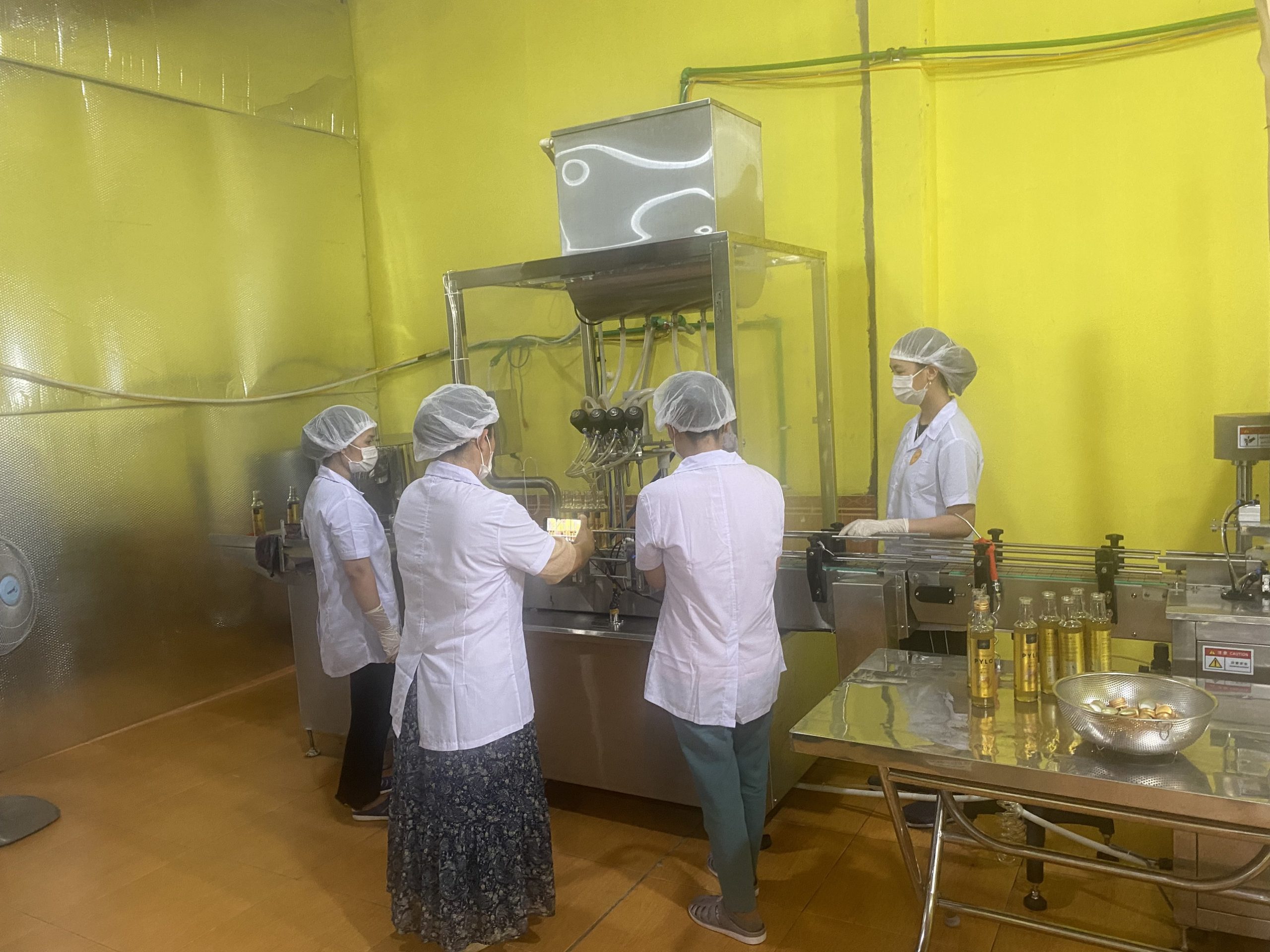 Tham Quan Khu Sản Xuất Hiện Đại Tại PyLoHerb