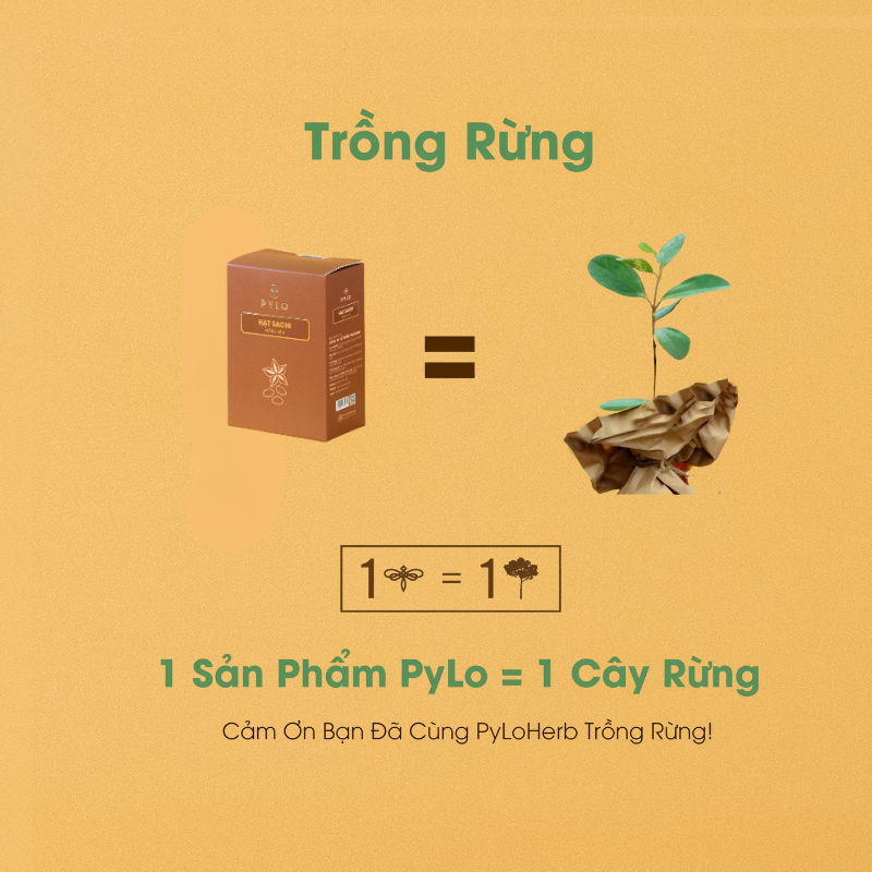 Hạt Sachi Măng Đen PyLo