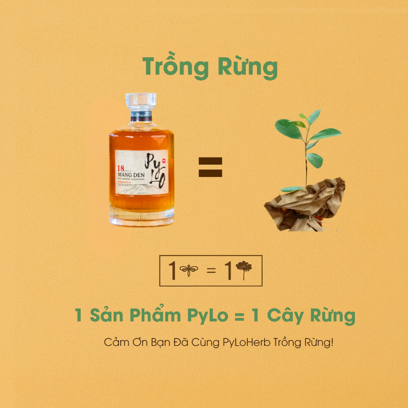 Rượu Thảo Mộc Măng Đen PyLo 18