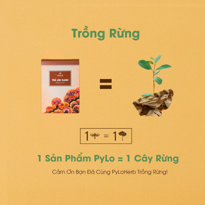 Trà Lim Xanh PyLo