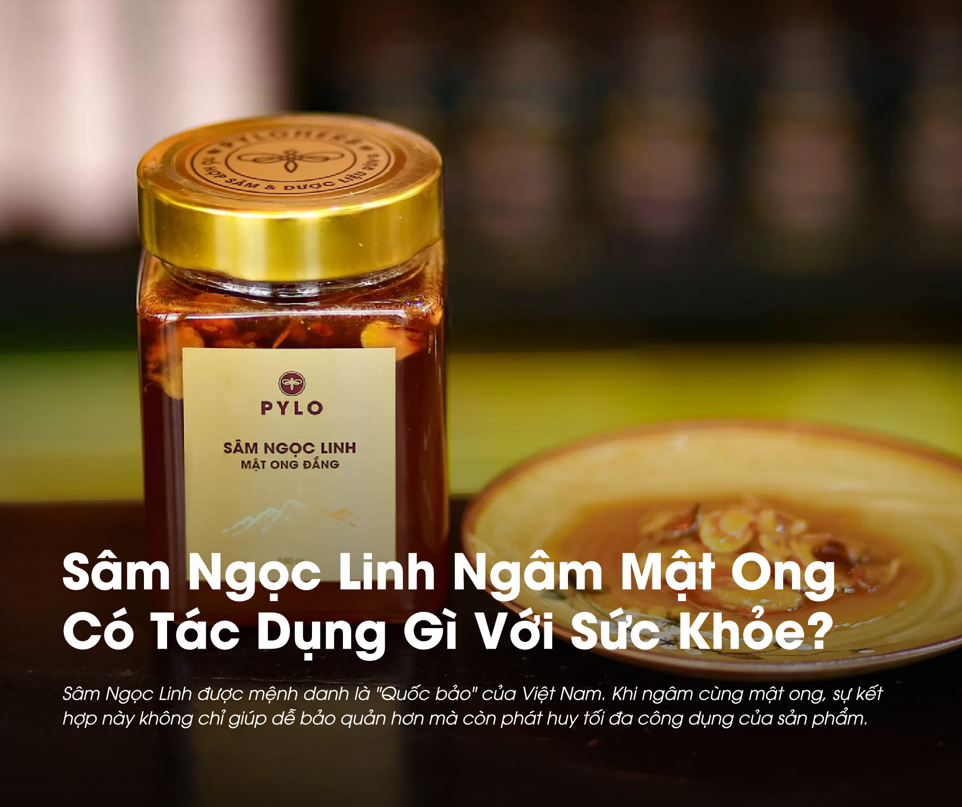 Sâm Ngọc Linh Ngâm Mật Ong Có Tác Dụng Gì Với Sức Khỏe? 