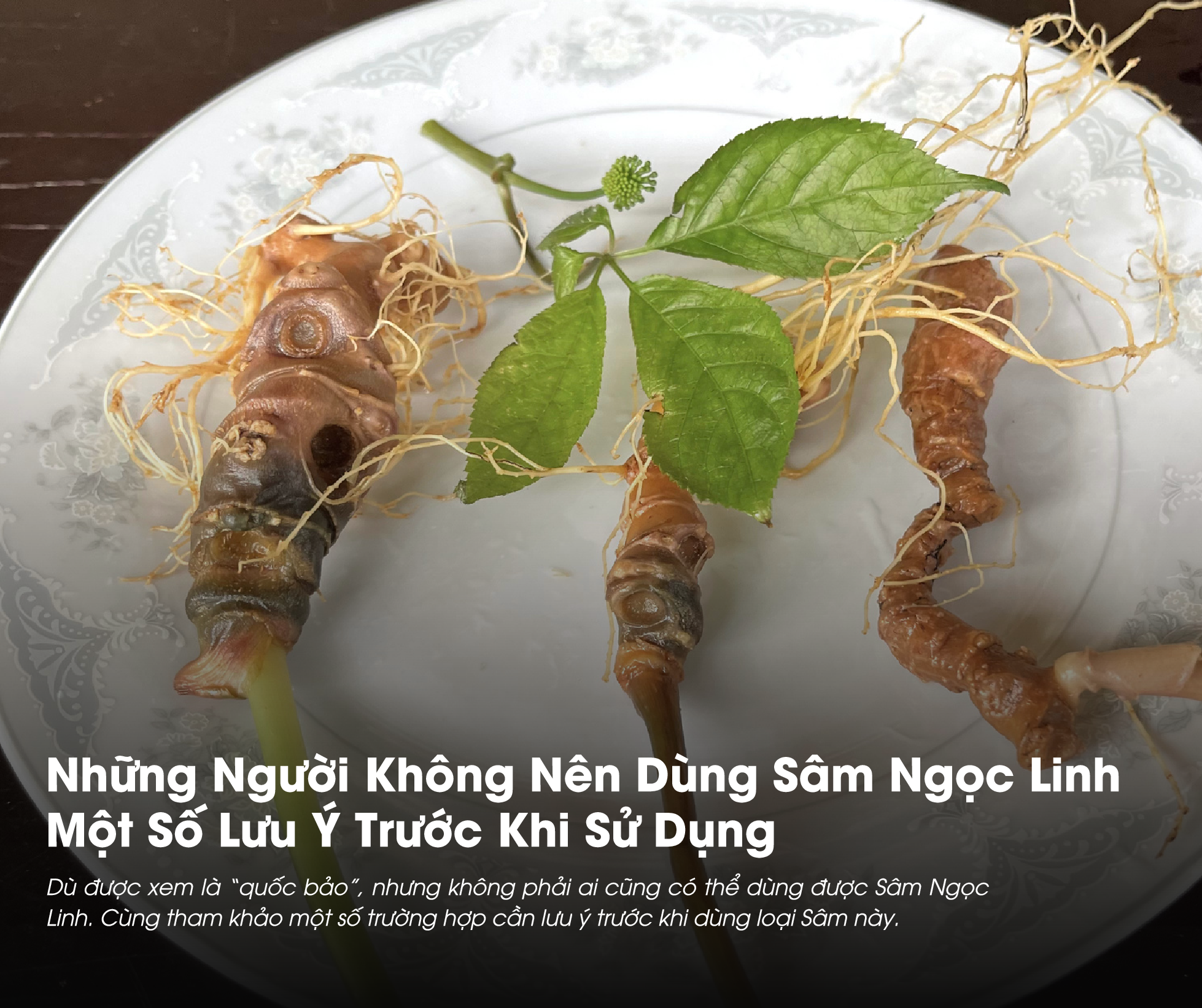 Những Người Không Nên Dùng Sâm Ngọc Linh: Đối Tượng Cần Lưu Ý Khi Sử Dụng 