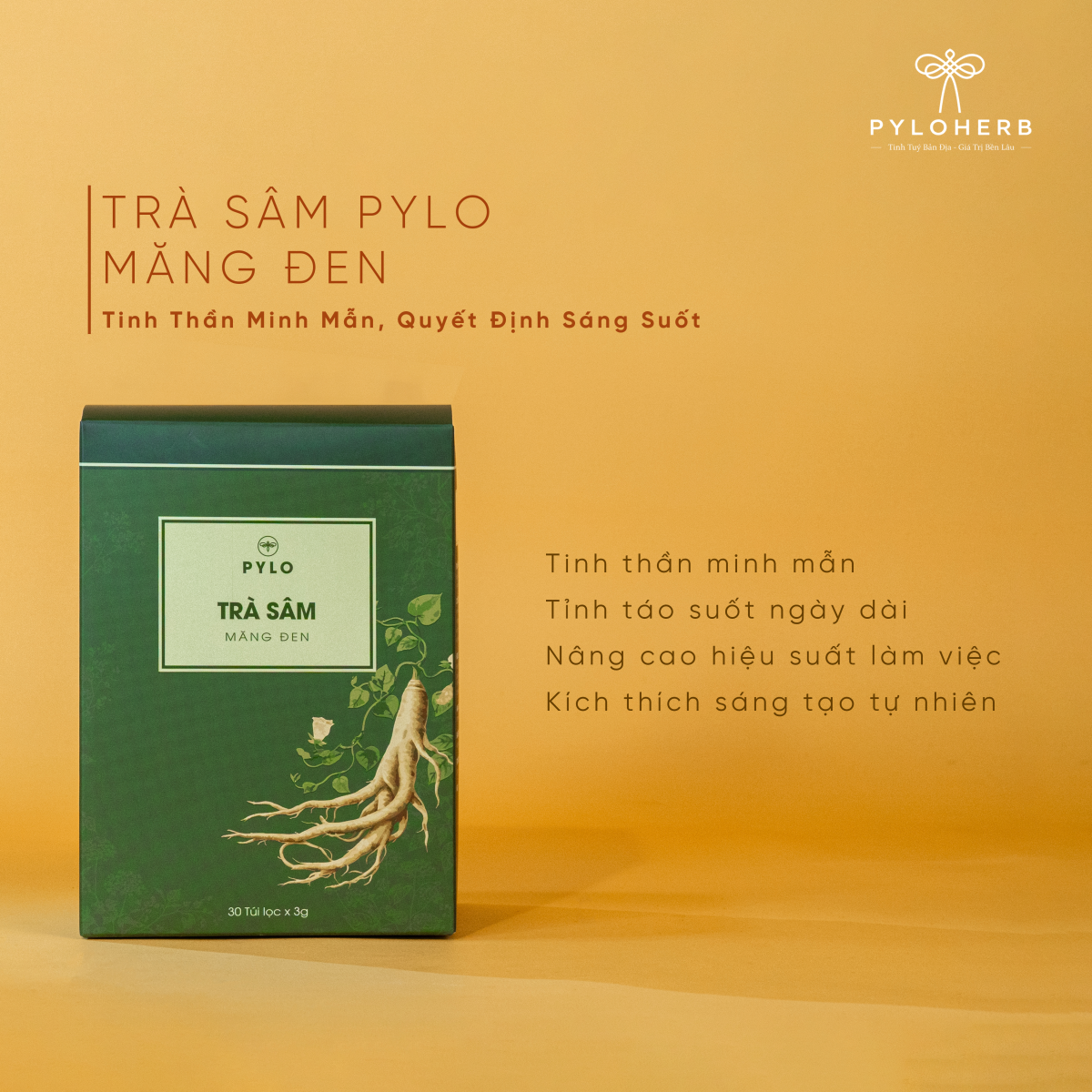 Combo Bản Địa Măng Đen