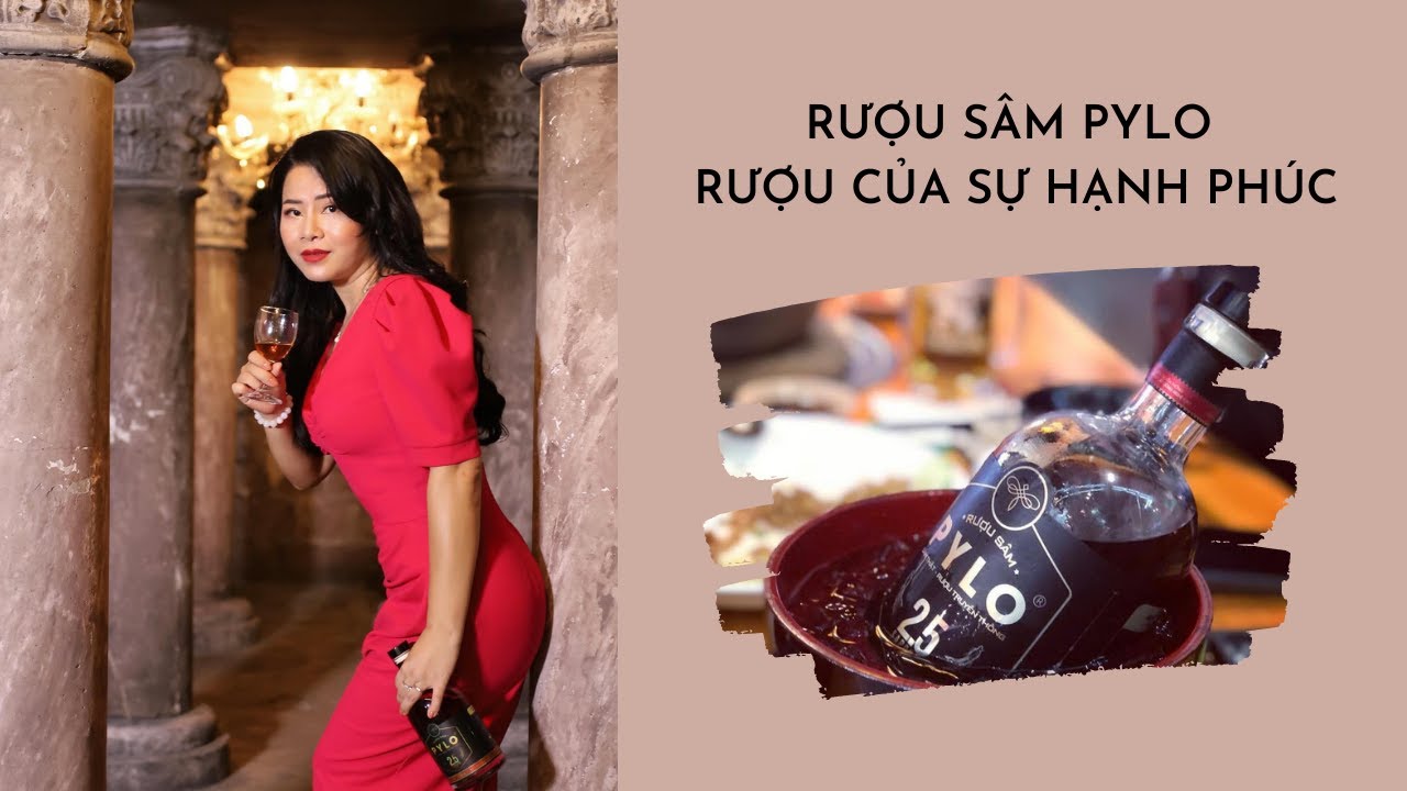 Trà Hoa Cúc Pha Mật Ong Sâm PyLo Liệu Có Tốt?