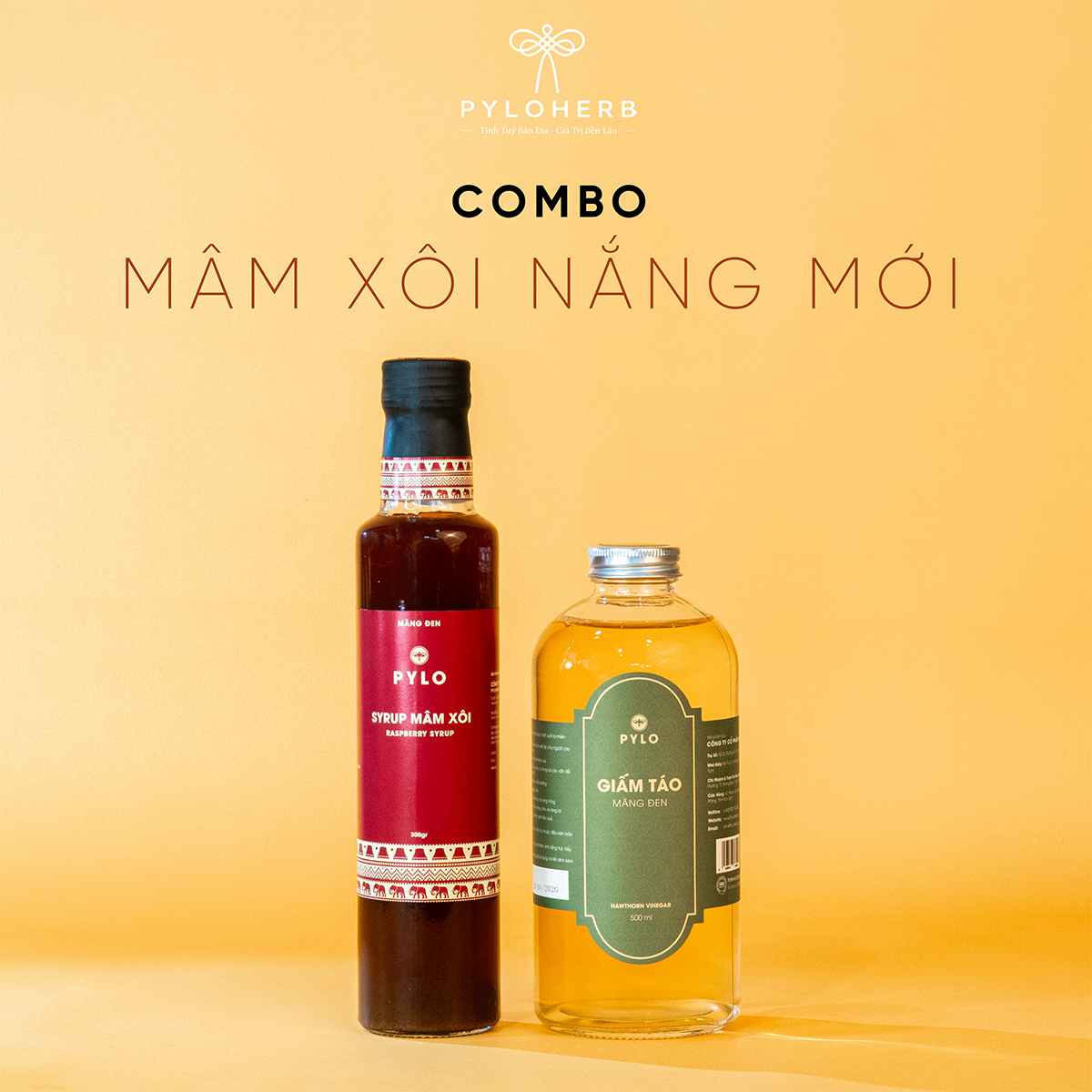 Combo Mâm Xôi Nắng Mới