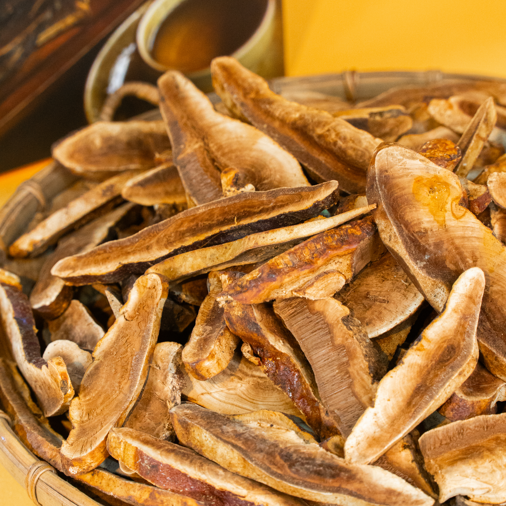 Nấm Linh Chi Tự Nhiên PyLo
