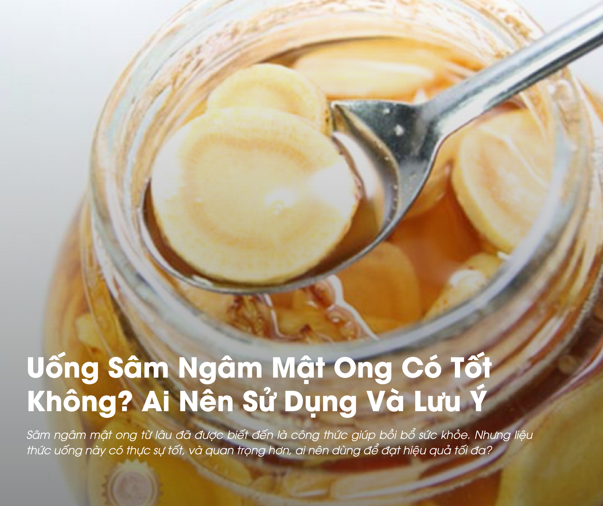Uống Sâm Ngâm Mật Ong Có Tốt Không? Ai Nên Sử Dụng Và Lưu Ý Khi Dùng