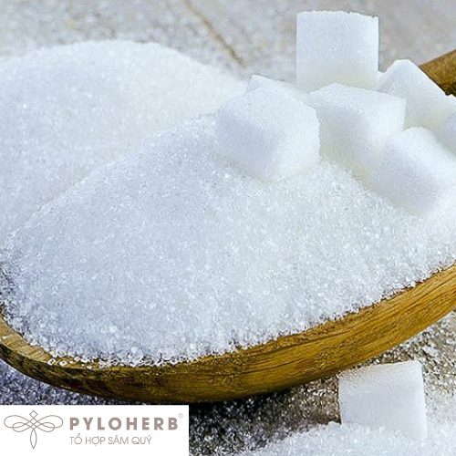 Nên Chọn Đường Hay Mật Ong Sâm PyLo