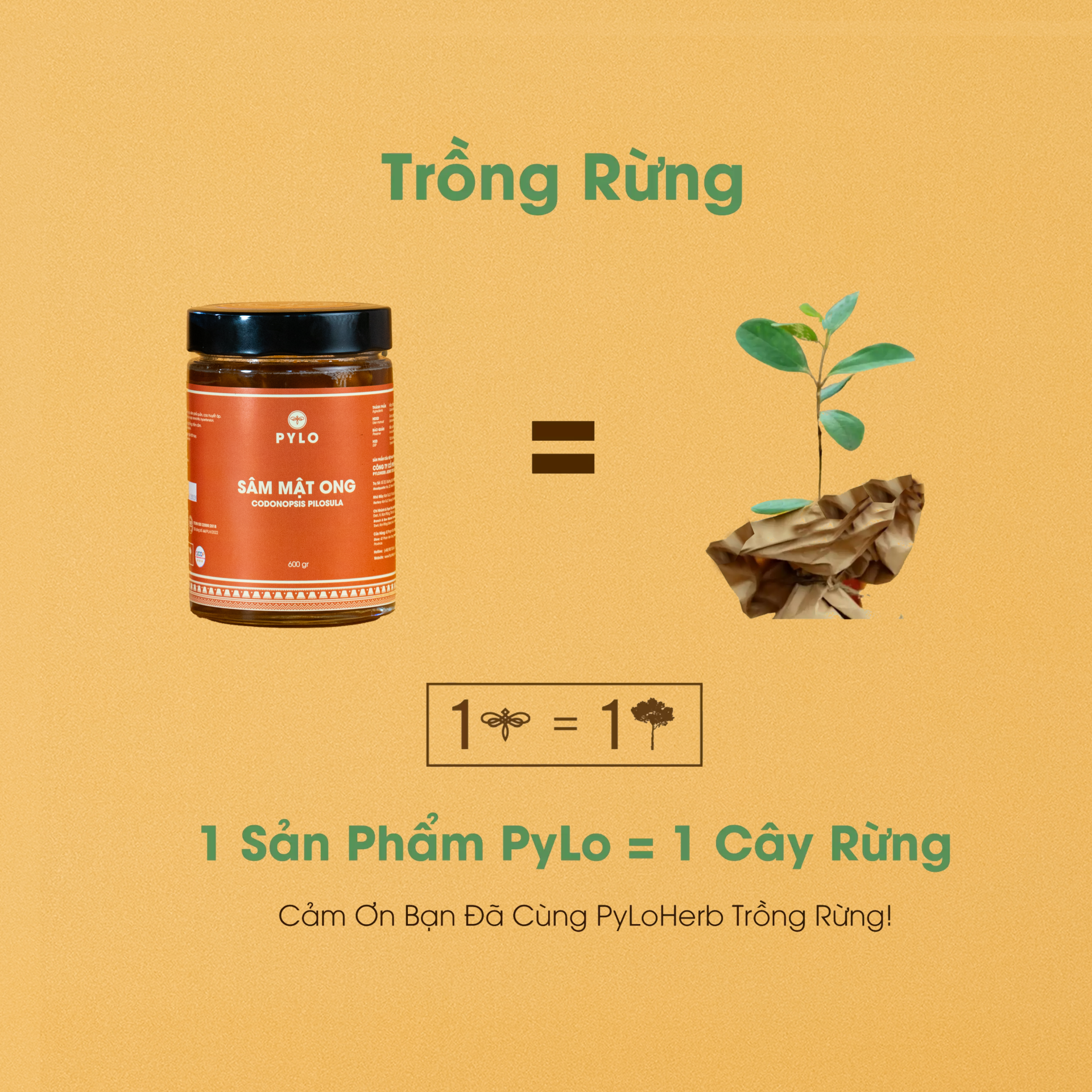 Sâm Mật Ong PyLo