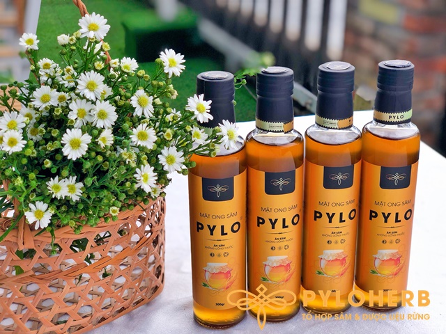 Lựa Chọn Quà Tặng Sức Khỏe Cho Người Già Phù Hợp Nhất
