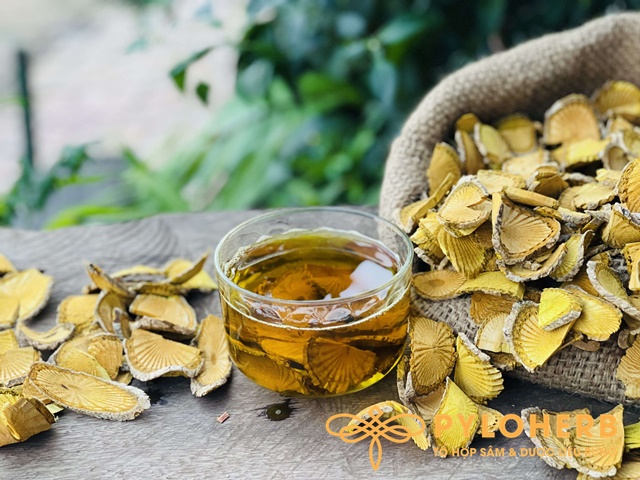Cây Vàng Đắng Rừng Có Công Dụng Như Thế Nào?