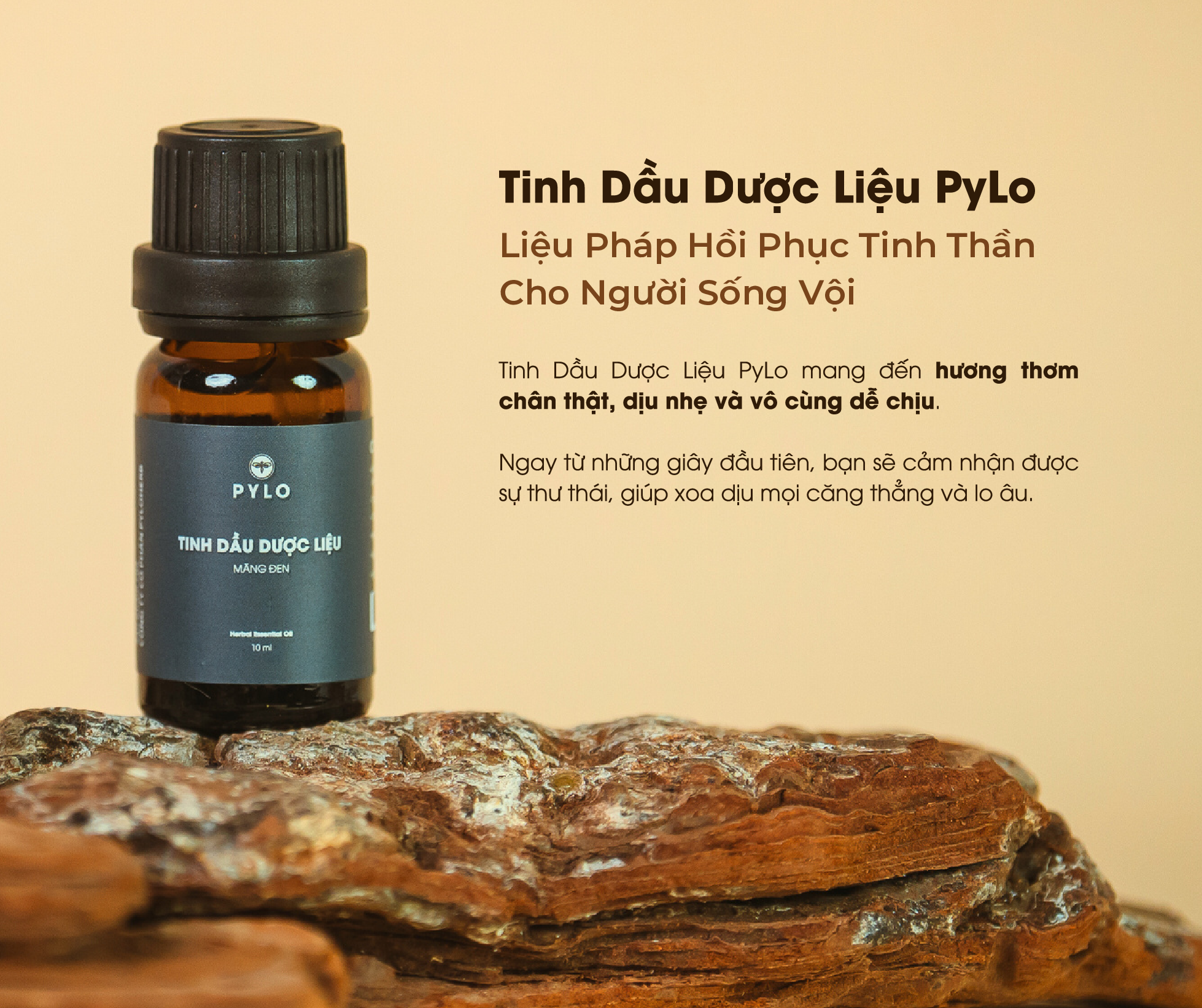 Tinh Dầu Dược Liệu PyLo – Liệu Pháp Hồi Phục Tinh Thần Cho Người Sống Vội
