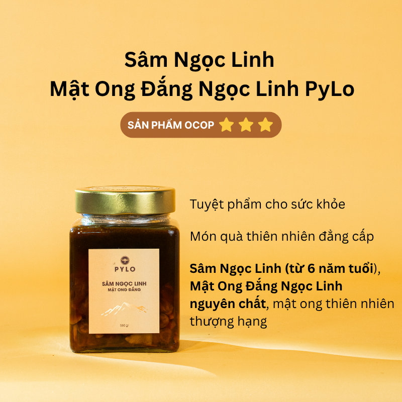 Sâm Ngọc Linh Ngâm Mật Ong Đắng Ngọc Linh PyLo