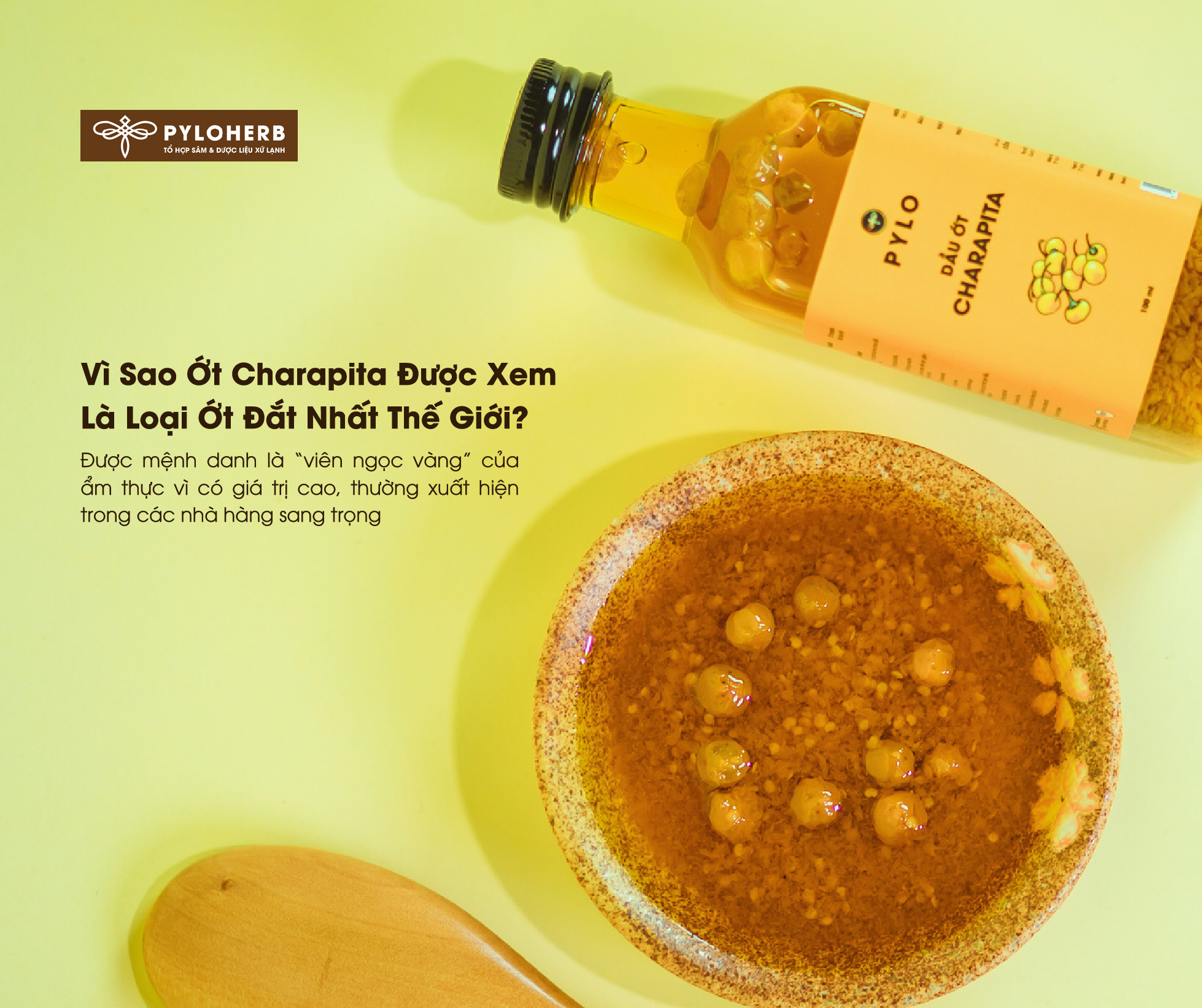 Vì Sao Ớt Charapita Được Xem Là Loại Ớt Đắt Nhất Thế Giới? 
