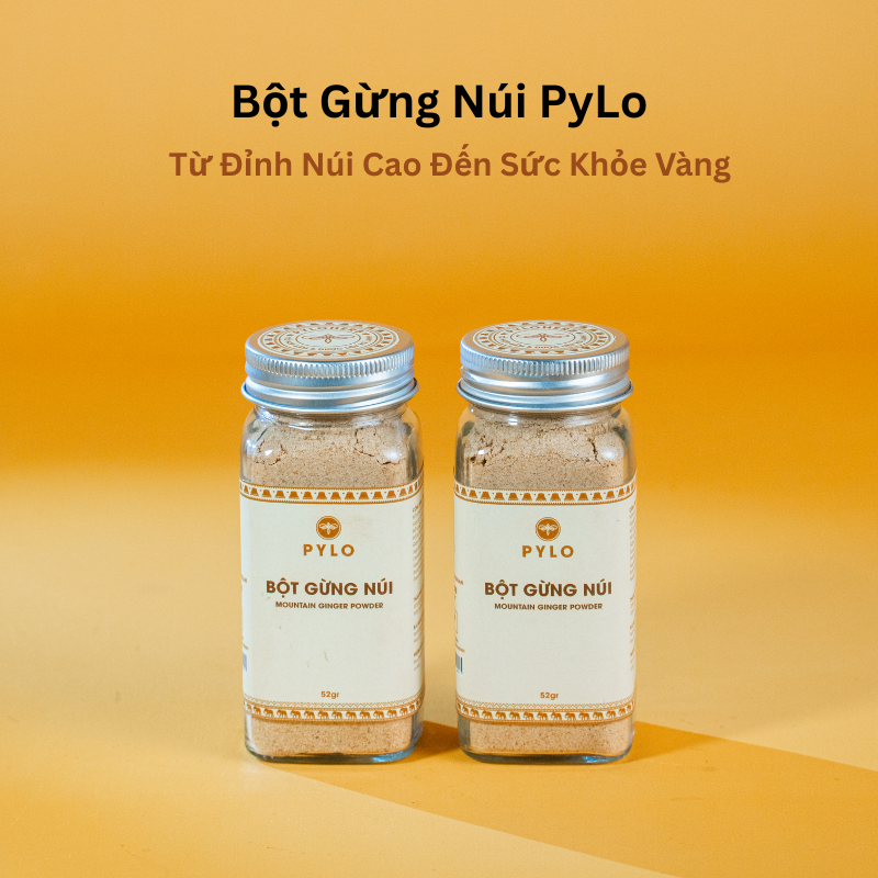 Bột Gừng Núi PyLo