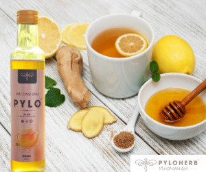 Điều Diệu Kỳ Của Trà Gừng Và Mật Ong Sâm PyLo