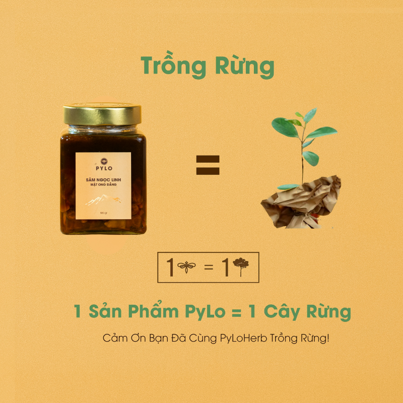 Sâm Ngọc Linh Ngâm Mật Ong Đắng Ngọc Linh PyLo