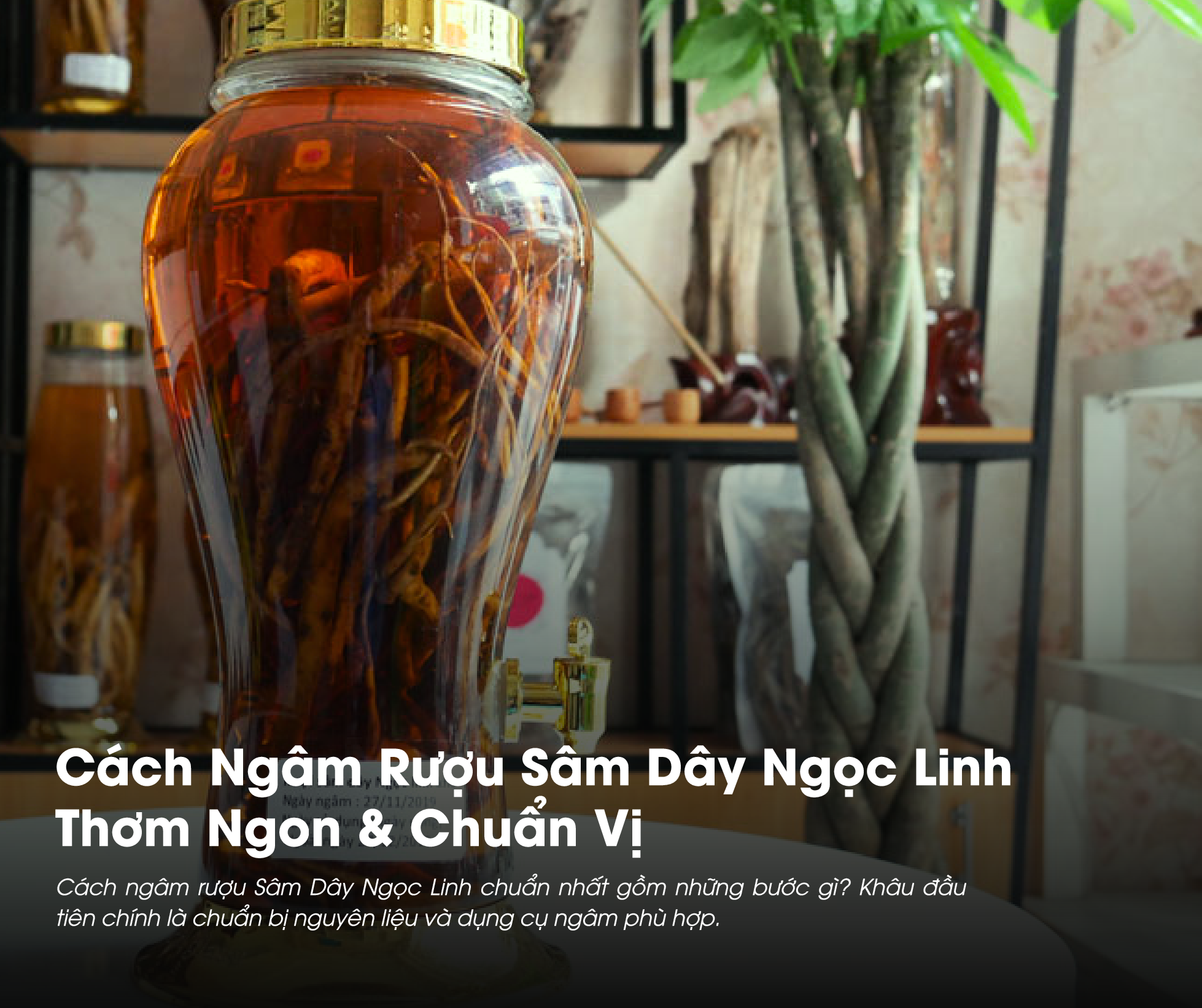 Cách Ngâm Rượu Sâm Dây Ngọc Linh Thơm Ngon & Chuẩn Vị