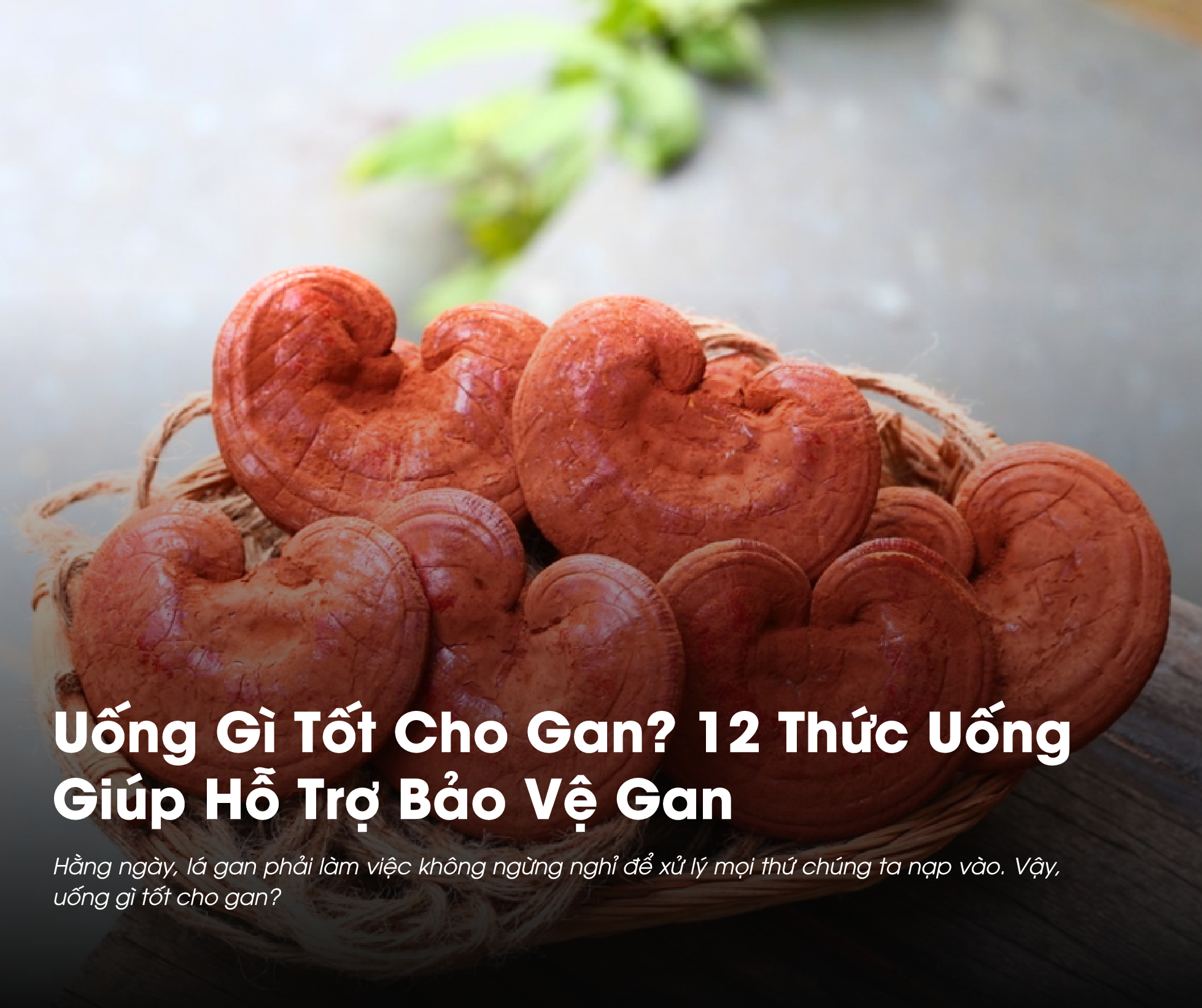 Uống Gì Tốt Cho Gan? 12 Thức Uống Giúp Hỗ Trợ Bảo Vệ Gan 
