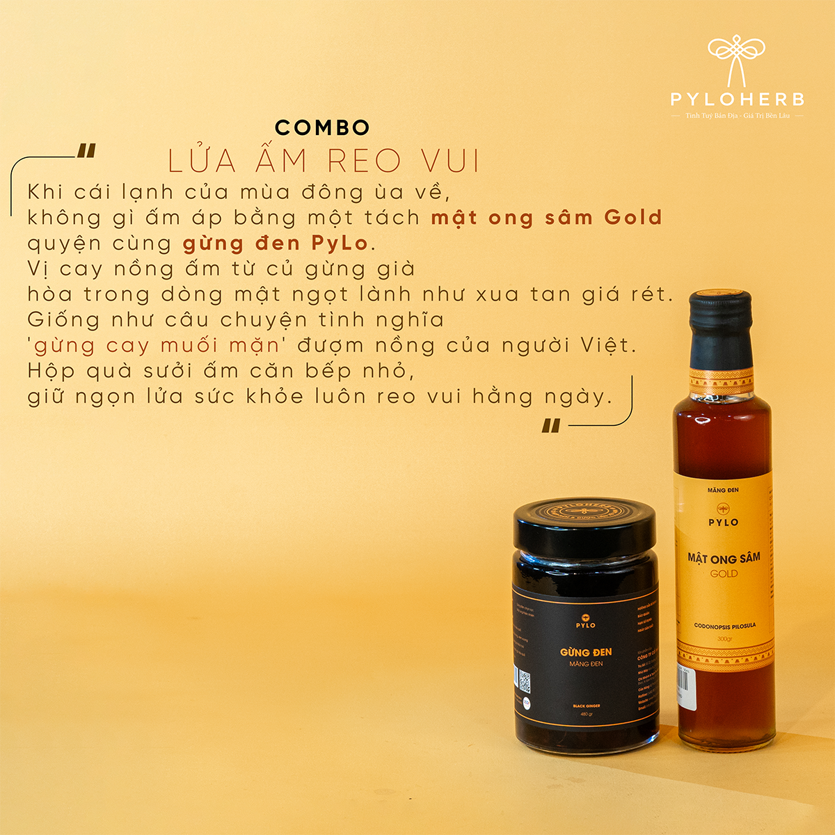 Combo Lửa Ấm Reo Vui