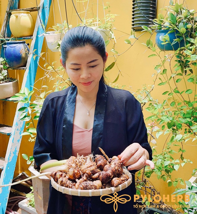 Thất Diệp Nhất Chi Hoa