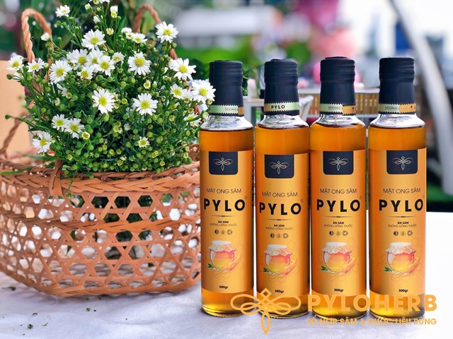 Có Thể Bạn Chưa Biết Những Công Dụng Tuyệt Vời Của Mật Ong Sâm PyLo