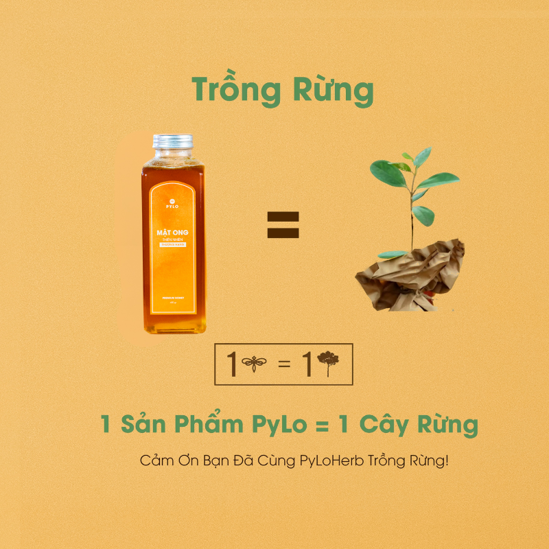 Mật Ong Thiên Nhiên Thượng Hạng PyLo