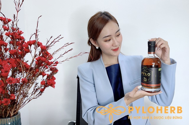 Rượu Sâm PyLo – Món Quà Ý Nghĩa Cho Sức Khỏe