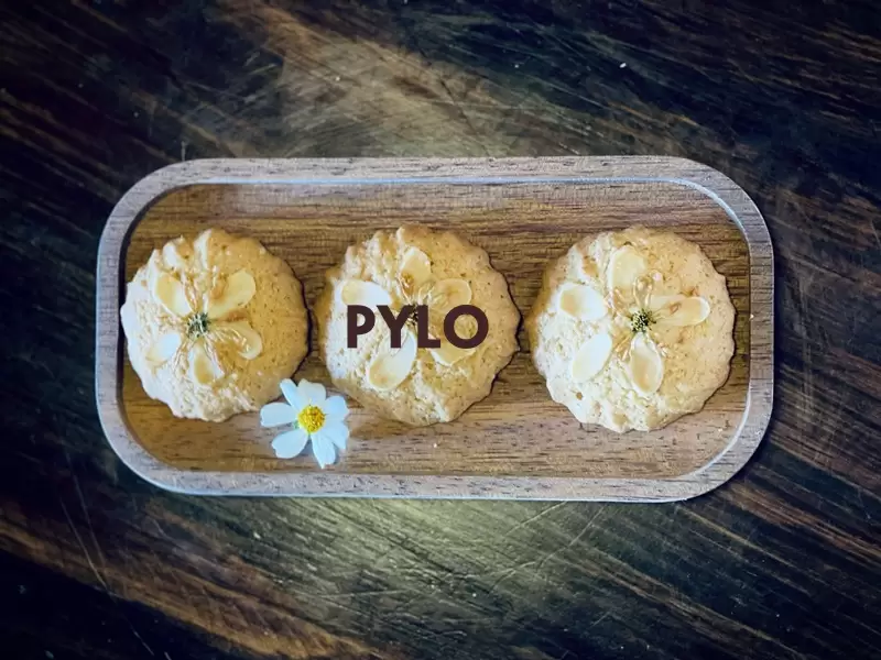 Bánh Sâm Hạnh Nhân Pylo - Sự Sáng Tạo Và Tình Yêu Thương!
