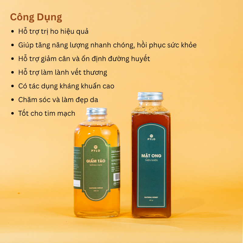 Combo Thanh Lọc [Giấm Táo Mật Ong PyLo]