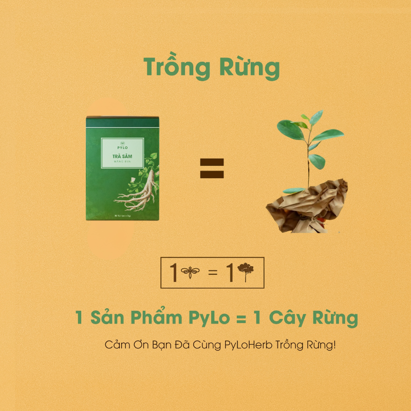 Trà Sâm PyLo