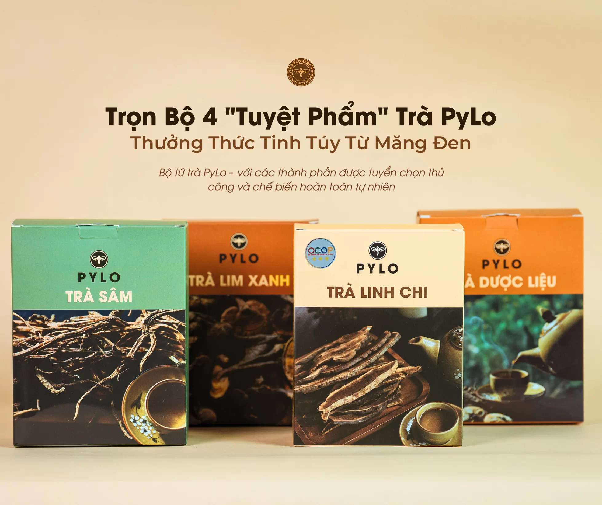 Review Bộ 4 Loại Trà Dược Liệu PyLo: Giải Pháp Sức Khỏe Từ Thiên Nhiên