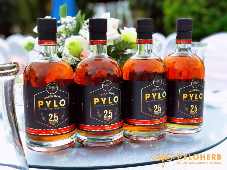 Rượu Sâm PyLo Có Gì Đặc Biệt?