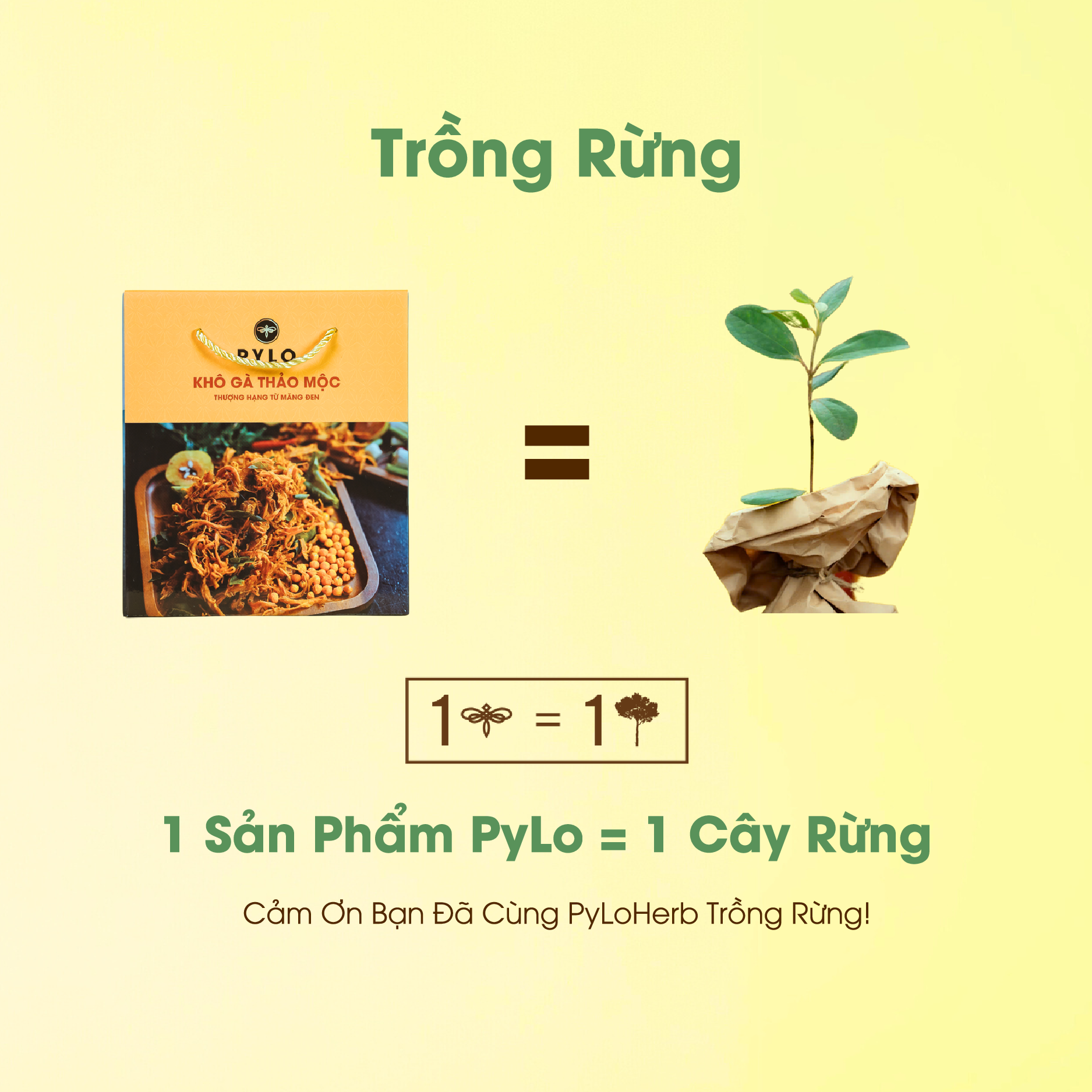 Khô Gà Thảo Mộc PyLo