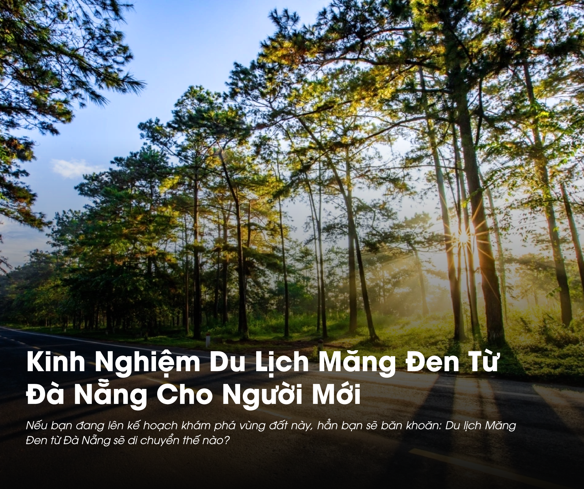Kinh Nghiệm Du Lịch Măng Đen Từ Đà Nẵng Cho Người Mới