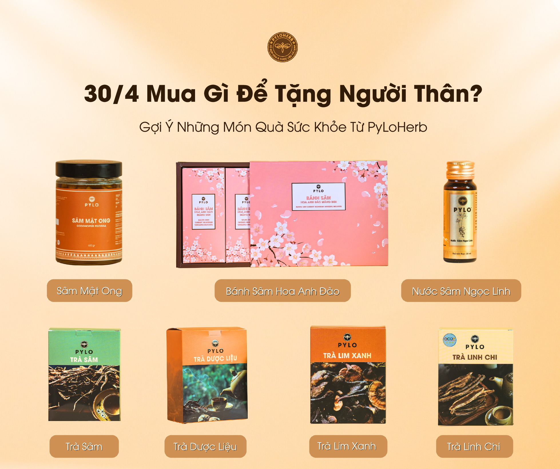 30/4 Mua Gì Để Tặng Người Thân? Gợi Ý Những Món Quà Sức Khỏe Từ PyLoHerb