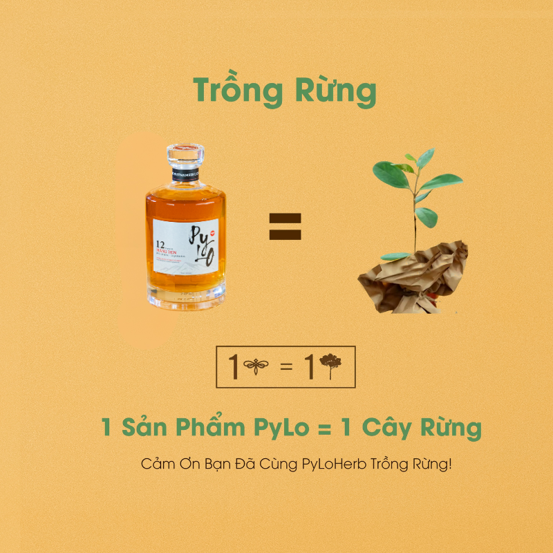 Rượu Thảo Mộc Măng Đen PyLo 12