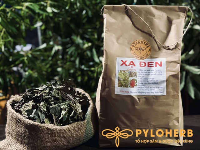 Cây Xạ Đen Rừng – Thần Dược Cho Sức Khỏe