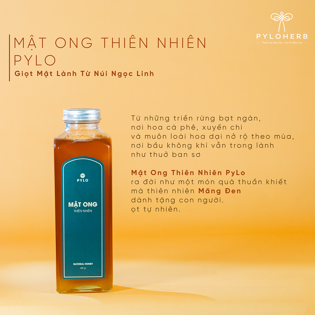 Combo Mở Đầu Câu Chuyện