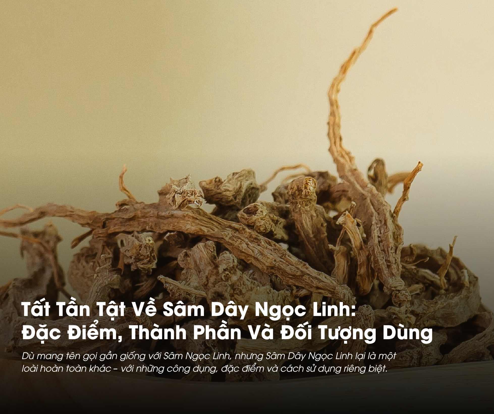 Sâm Dây Ngọc Linh: Đặc Điểm, Thành Phần Và Đối Tượng Sử Dụng