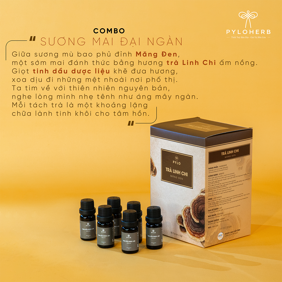 Sương Mai Đại Ngàn