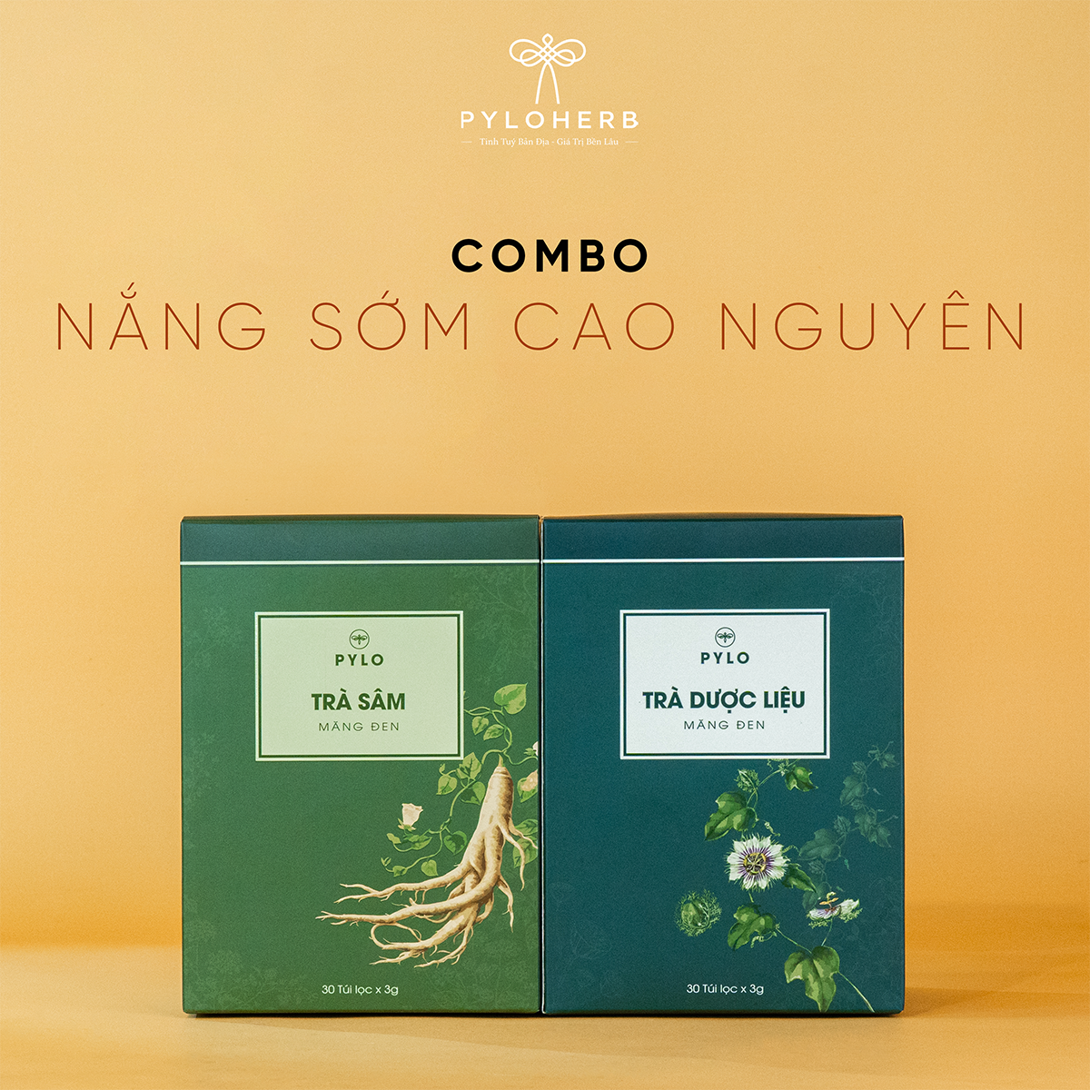 Combo Nắng Sớm Cao Nguyên