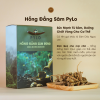 Hồng Đẳng Sâm PyLo