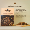 Nấm Linh Chi PyLo